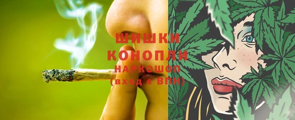 прущий лед Краснослободск