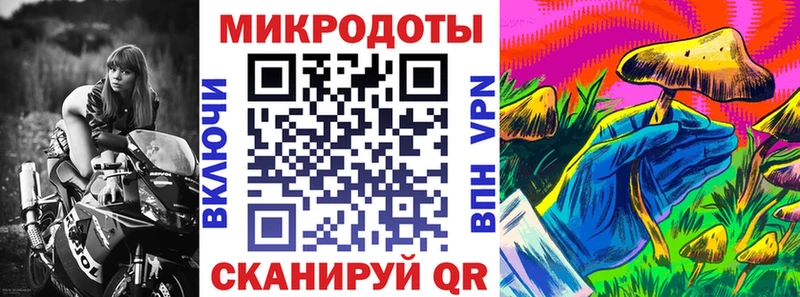 Псилоцибиновые грибы Cubensis  даркнет сайт  Малоархангельск 
